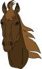 horse_head.jpg