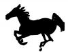 silhouette_galloping.jpg