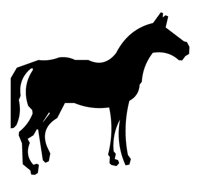 silhouette_side.jpg