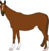 simple_brown_horse.jpg
