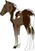 small_horse.jpg