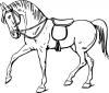 walking_horse.jpg