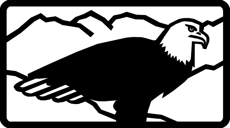 baldeagle02.jpg 49.4K