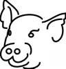 pig02.jpg 11.6K