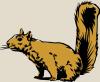 squirrel02.jpg 94.4K