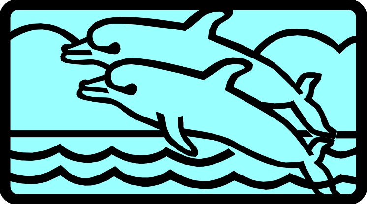 dolphins02.jpg 90.5K
