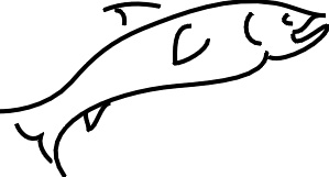 fish04.jpg 10.8K