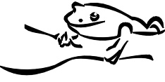 frog02.jpg 9.6K