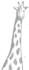 giraffe.jpg 2.9K