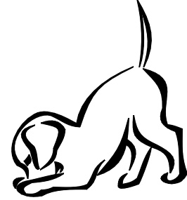 puppy.jpg 17.9K