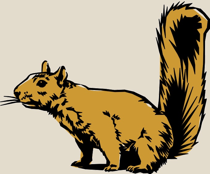 squirrel02.jpg 94.4K