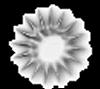 astrology-signs6.gif 2.7K