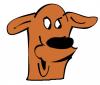 funny_dog.jpg