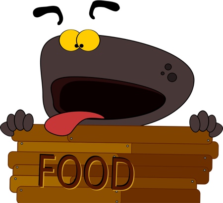 hungry_dog.jpg