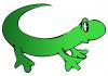 iguana.jpg
