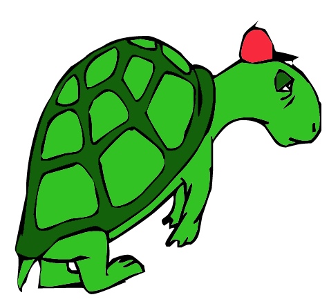 lazy_turtle.jpg