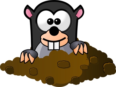 mole_in_hole.jpg