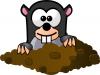 mole_in_hole.jpg
