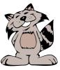 raccoon_smiling.jpg