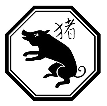 year_of_the_pig.jpg