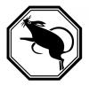 year_of_the_rat.jpg
