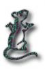 fantasy-clipart126.gif 2.9K