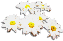 clipart-flowers10.gif 2.0K