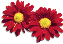 clipart-flowers11.gif 2.7K
