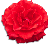 clipart-flowers28.gif 2.4K