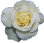 clipart-flowers34.gif 3.9K