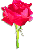 clipart-flowers4.gif 1.9K