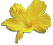 clipart-flowers41.gif 2.0K