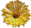 clipart-flowers9.gif 3.9K