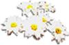 clipart-flowers10.gif 2.0K