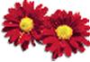 clipart-flowers11.gif 2.7K