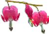 clipart-flowers12.gif 2.6K