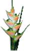 clipart-flowers17.gif 2.3K