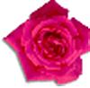 clipart-flowers19.gif 2.6K