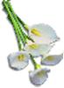 clipart-flowers2.gif 2.8K