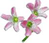 clipart-flowers26.gif 2.7K