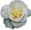 clipart-flowers34.gif 3.9K