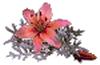 clipart-flowers40.gif 2.9K