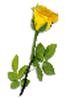 clipart-flowers6.gif 2.2K