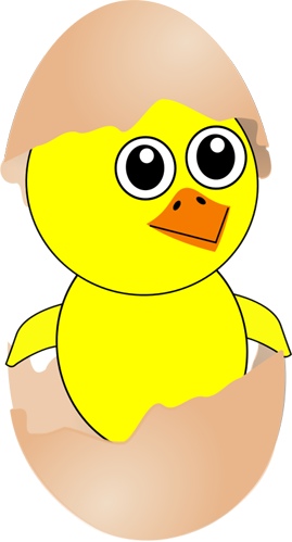 chick_egg.jpg