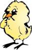 chick.jpg