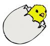 hatch_egg_chick.jpg