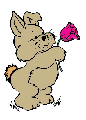 rose_rabbit.jpg