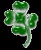 four-leaf-clover.gif 5.0K