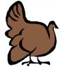 Thanksgiving Clip Art Image
