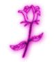 flowers-valentines-day.gif 1.8K